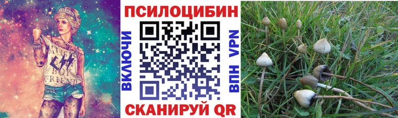 KRAKEN tor  наркота  Ясный  Псилоцибиновые грибы MAGIC MUSHROOMS 